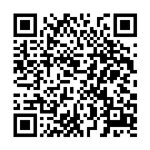 就好像是远方还有成千上万的观众在给予回应一般二维码生成