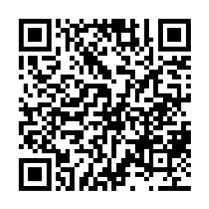 就好像林烽最开始接收二十四颗定海神珠传承记忆的时候二维码生成