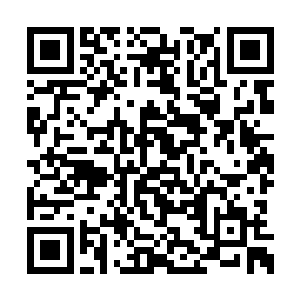 就好像根本闻不到这仓库内的这股恶心味道一样二维码生成