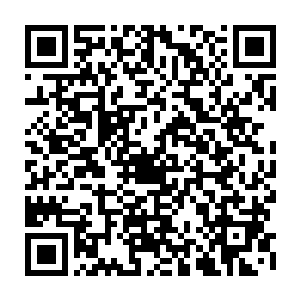 就好像的你辛辛苦苦在悬崖下找到的武学秘籍其实是小学生一课一练一样二维码生成