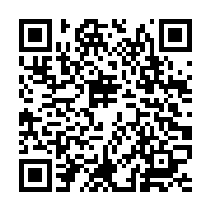 就好像秦洛和王九九是正在理朝的皇帝和王后似的二维码生成