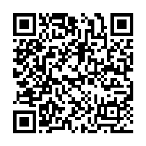 就好像遭遇蝗虫过境的村庄一样……什么都没有了二维码生成