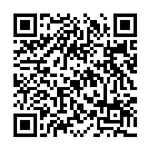 就如之前我会因为小蝶被杀的幻象而方寸大乱一般二维码生成