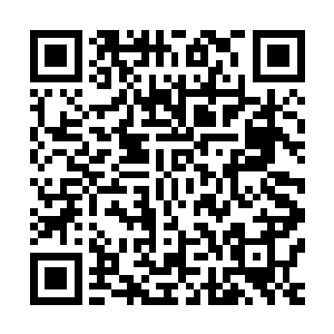 就如之前曾义口中所说的萧若雨便是这样一个妖孽级别的人物二维码生成