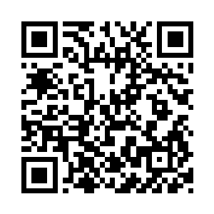 就如任何一个成年人都不会跑到蚂蚁洞穴前二维码生成