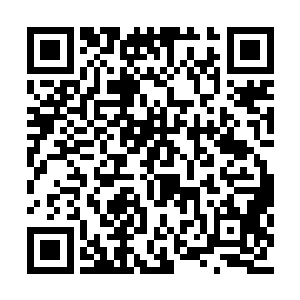 就如同张潇晗进阶炼虚时候那个紫色巨人的光影二维码生成