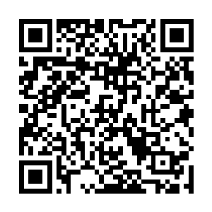 就如同猪八戒不会眼睁睁的看着小白龙干掉孙子轩一样二维码生成