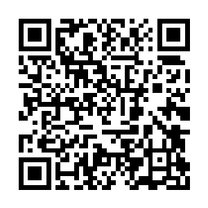 就对一身上下全都是红色的套装有了很大的抵触二维码生成