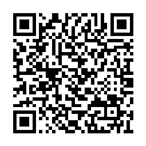 就将他们两个的肋骨都死死地插在了罗生门上边二维码生成