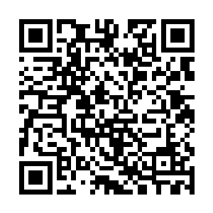 就将先前从罗博士那里缴获到的那把手枪又掏了出来二维码生成