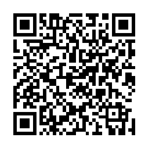 就将我们文明的全部智慧和历史都镌刻到新生儿的脑域中去二维码生成