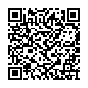 就已不是原来的青鸾了……我更喜欢现在的青鸾二维码生成