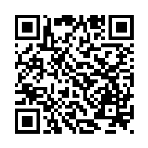 就已经把整个基地防卫的密不透风二维码生成