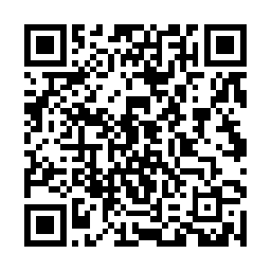 就已经被一声凄厉中夹杂着惊恐的尖叫声重新浇灭了二维码生成