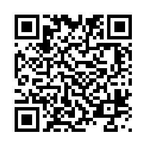 就当做是给他们两个小家伙加餐了二维码生成