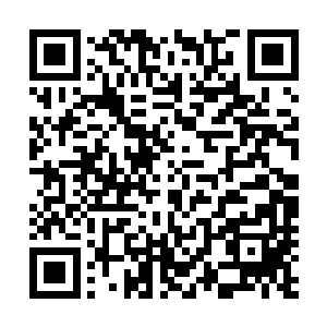 就当是她们六姐妹为她们的明星梦想画上一个圆满的句号吧二维码生成