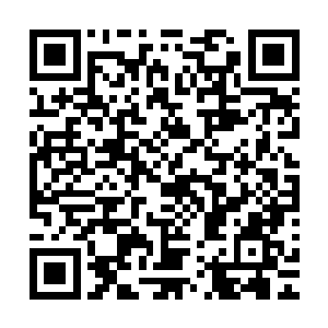 就当林辰闲来无聊准备前往公告牌看看上方所挂的悬赏任务时二维码生成