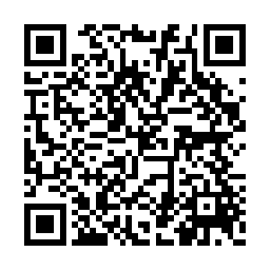 就当魔族想要一举将所有人族强者击杀掉的时候二维码生成