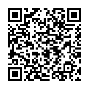 就必须要在用人导向和用人机制树立正面的积极地风向标二维码生成