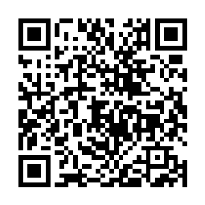 就总是在她面前炫耀自己新买的包包首饰化妆品什么的二维码生成