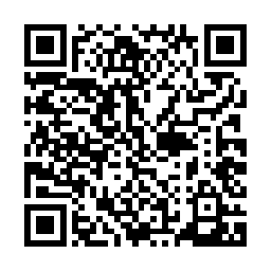 就感觉自己大腿内侧最鲜嫩的肉受到了春葱一般的手指暴力掐捏二维码生成