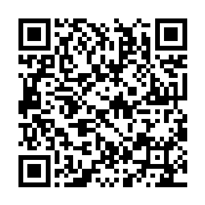 就找一处风景秀丽依山傍水的小区给苏子买幢房子二维码生成