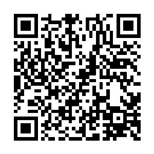 就把丫的龟甲一块块地拆开……看你丫扛得住不二维码生成