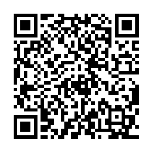 就把吴小虎等人从掳掠了他们的玄天大能分身手中解救出去二维码生成