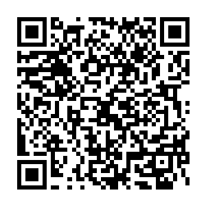 就指了指站在一旁的木萦和之前测过有灵根的一个小姑娘和一个男孩二维码生成
