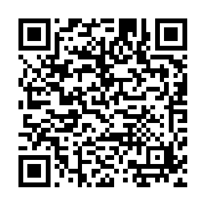 就放了你们一家人保证从此以后再也不找你们一家人的麻烦二维码生成