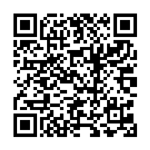 就无法衬托出……在被生活蹂躏期间获得片刻喘息的幸福二维码生成