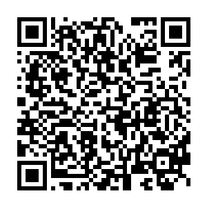 就是……那个苍岚宗不过三十岁就臻至道元境二品的那个第一天才二维码生成