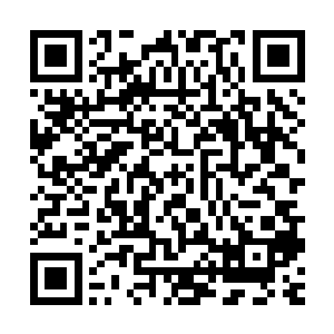 就是一个筑基期的修士也不会老老实实的敞开灵魂让你来控制啊二维码生成