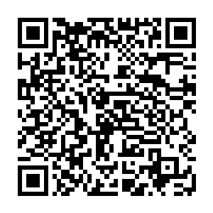 就是一向活泼爱动的灵宝也不由睁着一双圆溜溜的小眼睛看着面前的吴倩倩二维码生成