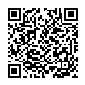 就是不知道他们是本体位于这里还是分身降临……二维码生成