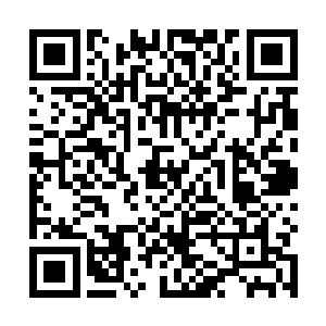 就是不知道冰碧蝎群里面的精英甚至皇者会是什么样子二维码生成