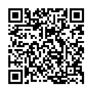 就是不知道撸友们看爽了没~~~~~如果觉得本书还不错的话二维码生成