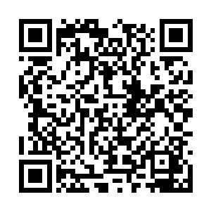 就是与宗门和师傅签下了一张无法更改的生死契约二维码生成