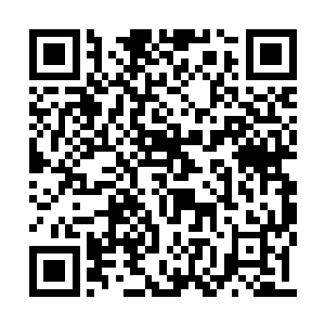 就是为了方便胡莲祭司查探那两名无角人的底细二维码生成