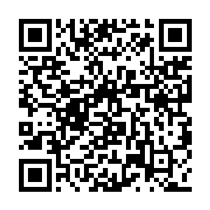 就是为了清楚地告诉朝迪娜他对别的女人没兴趣二维码生成