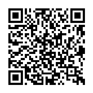 就是为马科洛夫斯基等人的撤离收集足够的信息二维码生成