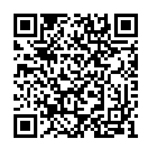 就是人工智能和自我升级型灵能傀儡领域的专家二维码生成