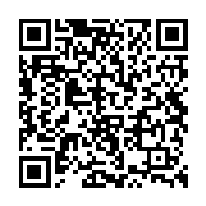 就是以威廉指挥的德军第五集团为主要攻击力量二维码生成