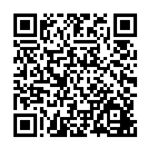 就是你体内的混沌之气全都转化成为了仙力而已二维码生成