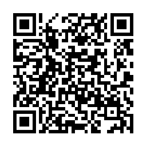 就是像赶鸭子一样的赶着各个次大陆的资源往太夏跑二维码生成