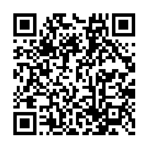 就是儒术能够帮朕给百姓灌入一种帝为天的思想二维码生成