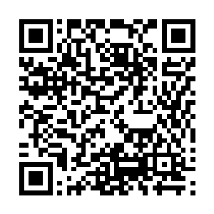 就是其中最不起眼的东西――柯林斯是派人用牛车运过来的二维码生成