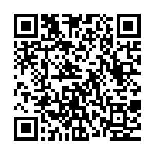 就是再笨也知道张潇晗一定是在那个海底洞府得到什么机缘了二维码生成