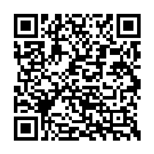 就是冠玉也绝对不允许再带着小杰布去动物园了二维码生成