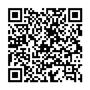 就是凭着自己天尊初期巅峰的实力和许紫烟战起来二维码生成